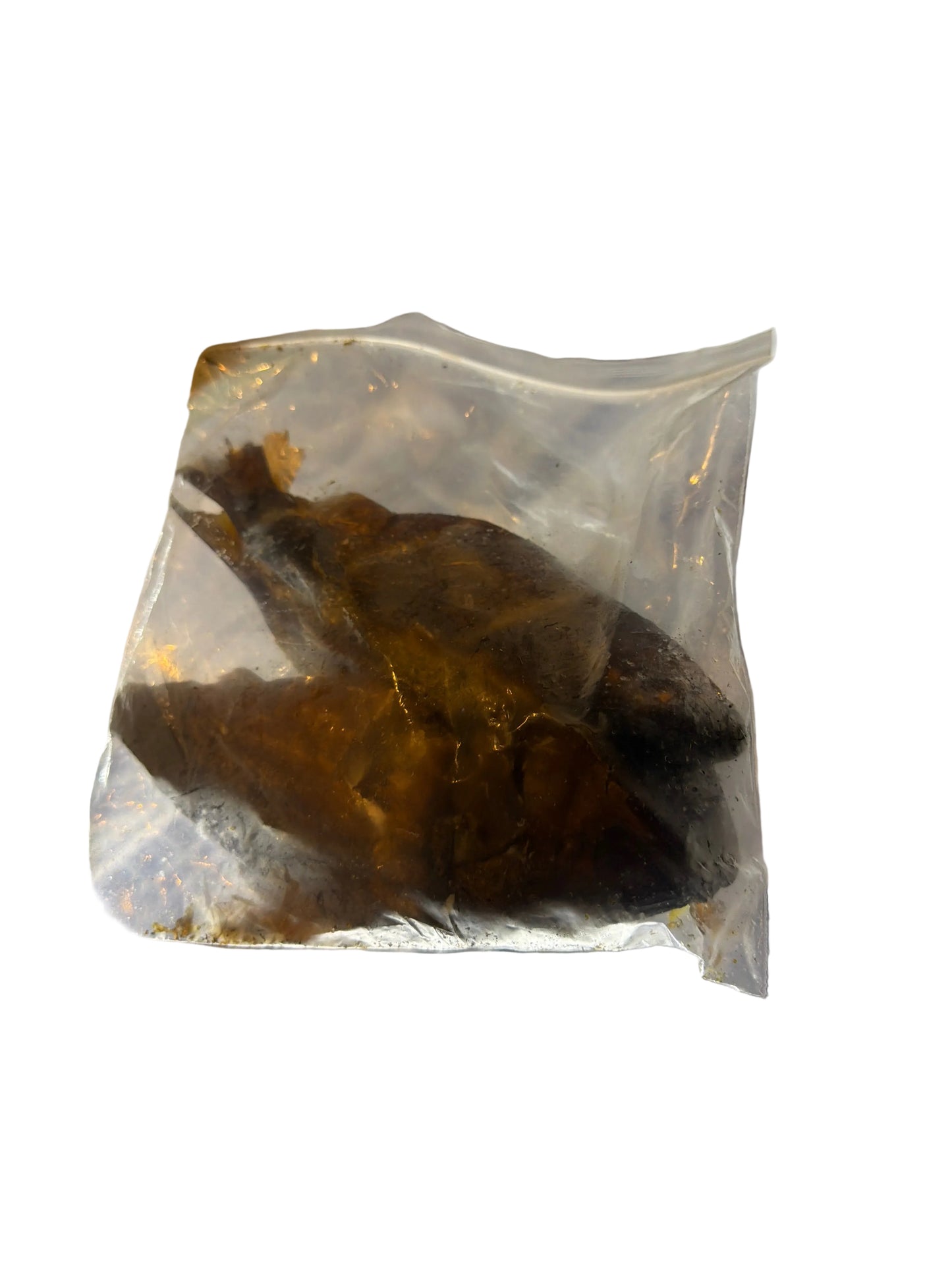 Bonga Fish