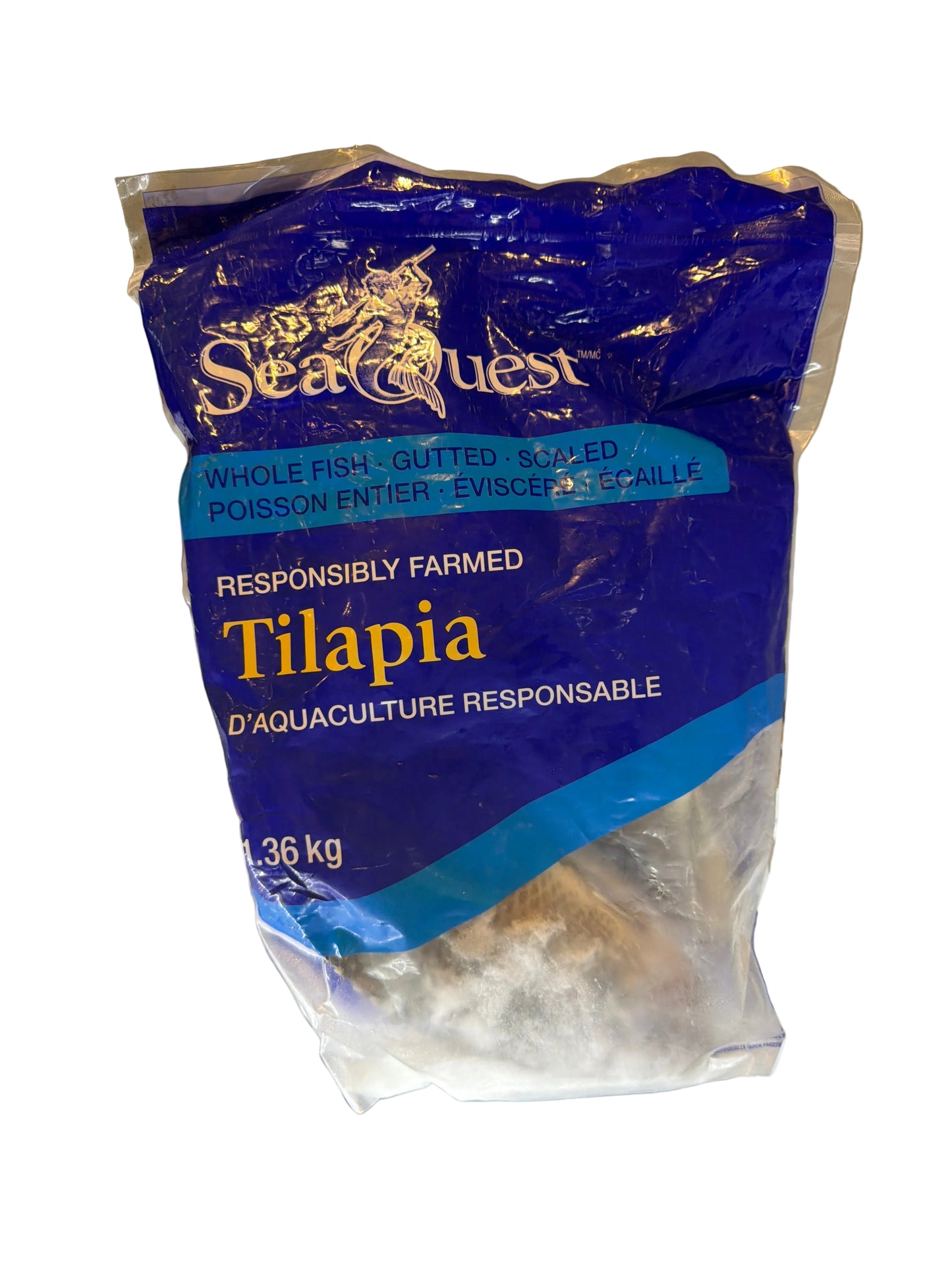 Frozen Tilapia