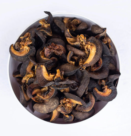 Snail