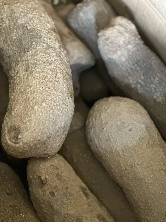 Yam